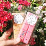 Soy Wax Clam Shell Bars